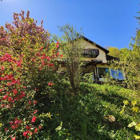 Casa De Sub Padure Hotell Bran  Eksteriør bilde